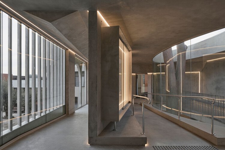 "Flyover" or "Gallery for a Tree"